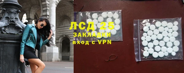 ГАЛЛЮЦИНОГЕННЫЕ ГРИБЫ Осинники