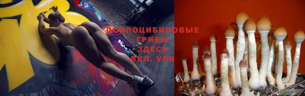 хмурый Осташков