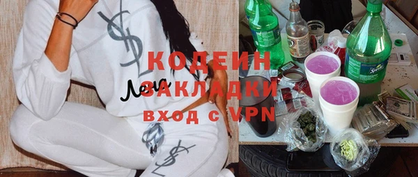 ГАЛЛЮЦИНОГЕННЫЕ ГРИБЫ Осинники